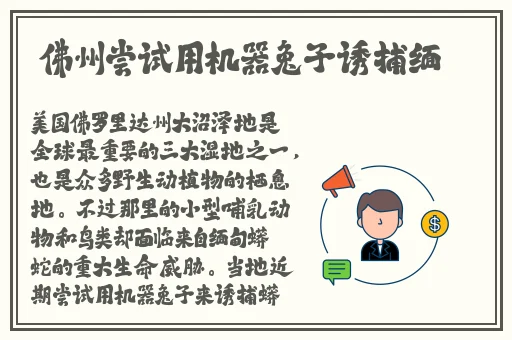 中国日本韩国免费观看视频